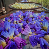 Blue Lotus Bath Salt Ritual