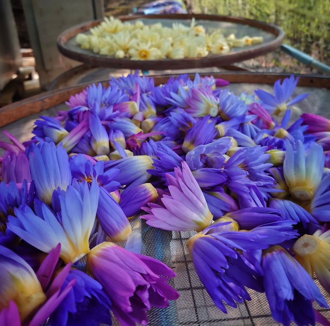 Blue Lotus Bath Salt Ritual